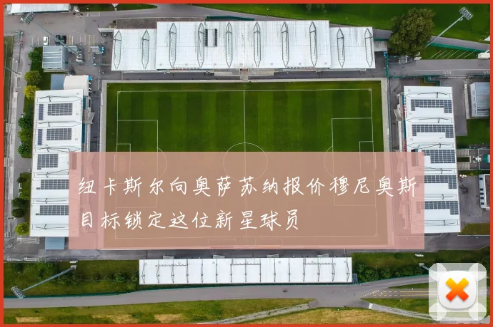 纽卡斯尔向奥萨苏纳报价穆尼奥斯目标锁定这位新星球员
